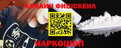 стаф Можга