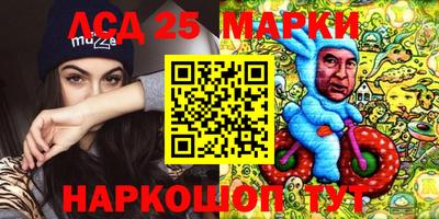 стаф Можга