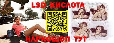 стаф Можга
