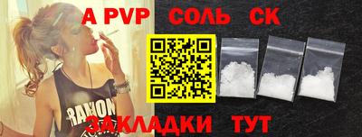 стаф Можга
