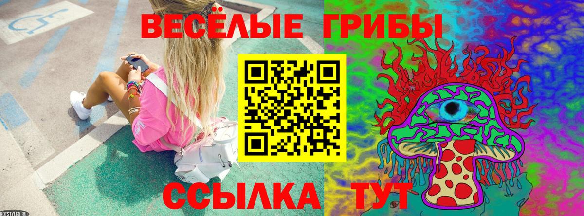 Галлюциногенные грибы прущие грибы  Вход с VPN  Фролово  Псилоцибиновые грибы Cubensis 